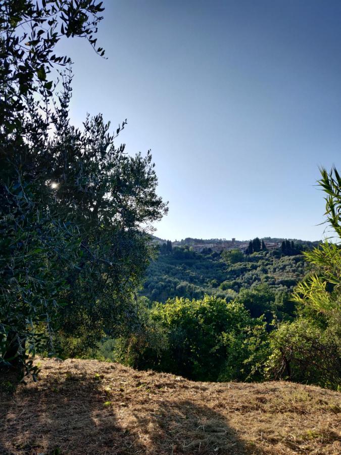Il Rusticano Chianni Exterior foto